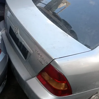 Toyota Corolla Çıkma Bagaj Kapağı 